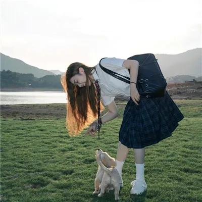 胡狼来了